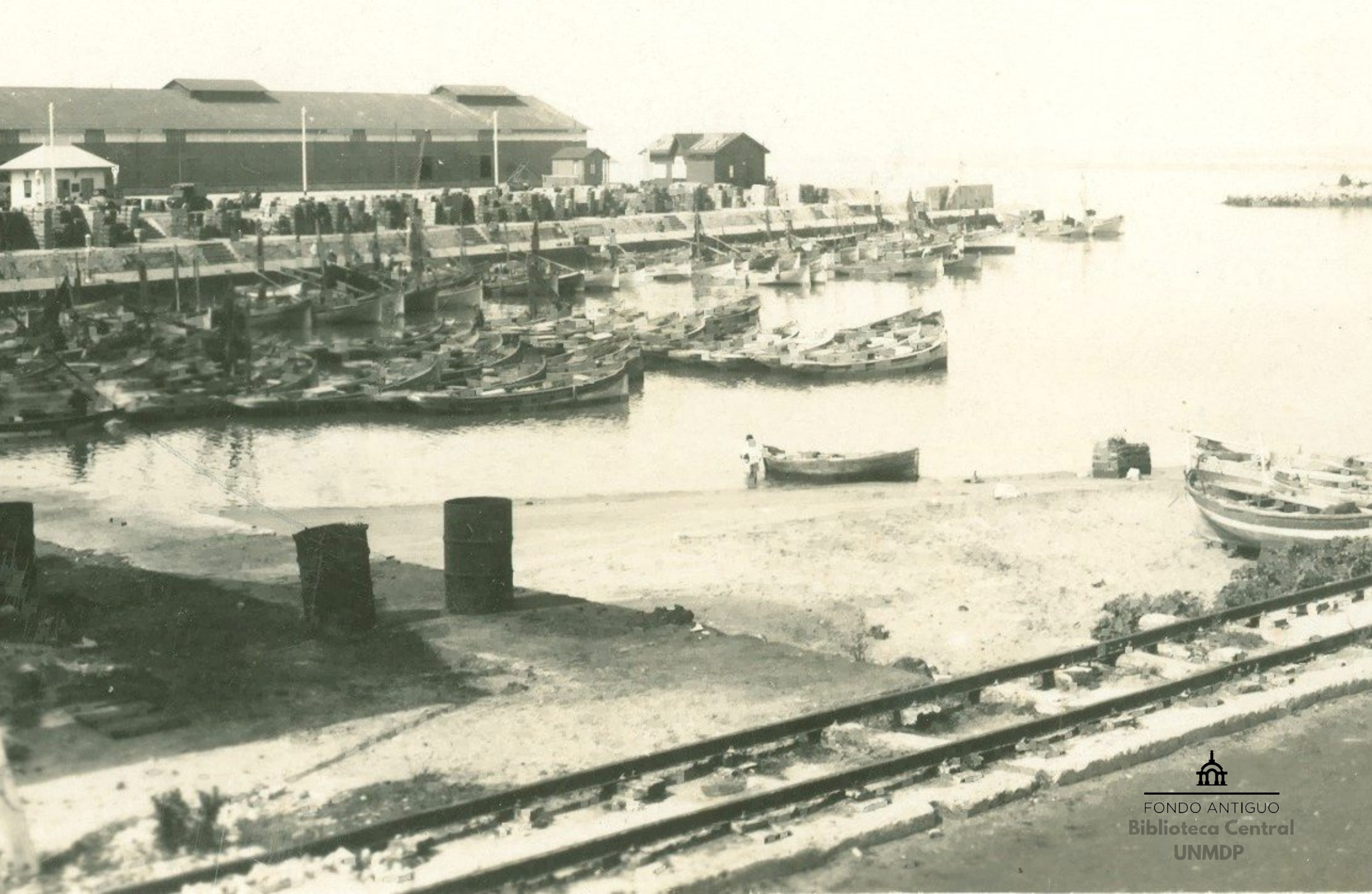 Dársena de los pescadores